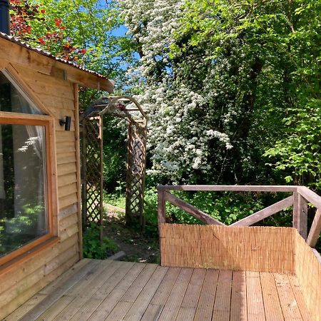 Honey Bee Cabin Llandysul Εξωτερικό φωτογραφία
