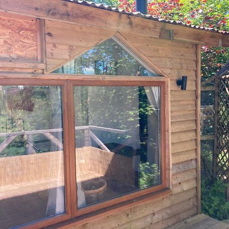 Honey Bee Cabin Llandysul Εξωτερικό φωτογραφία