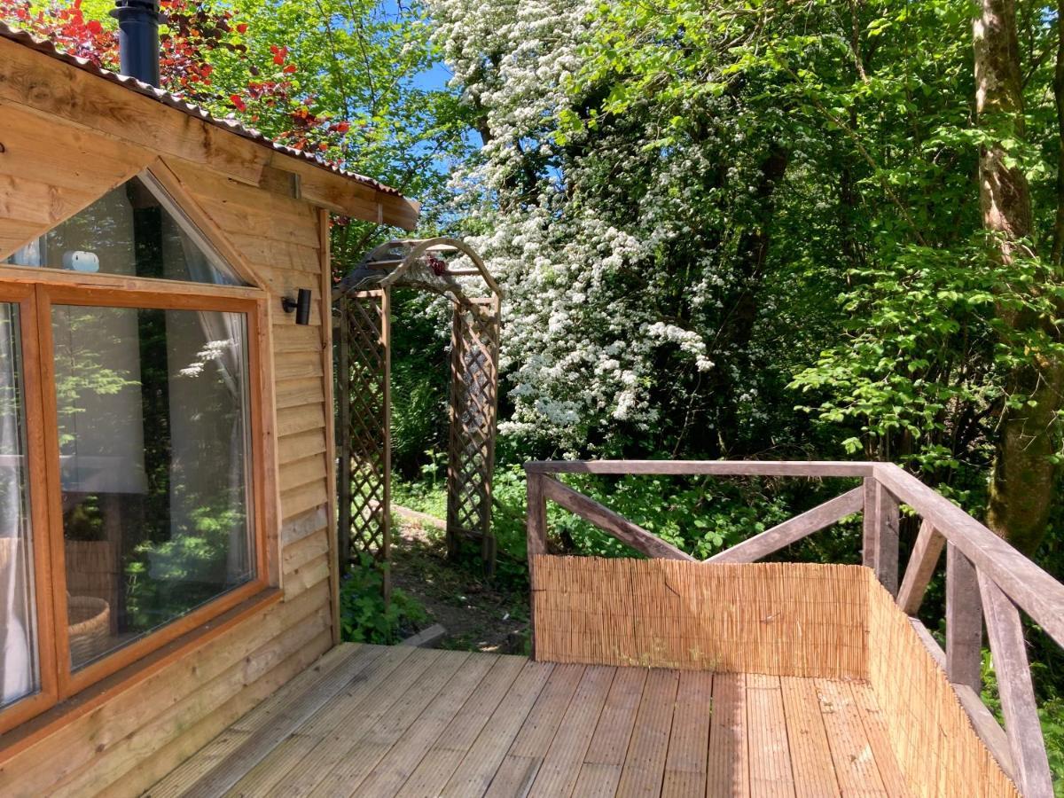 Honey Bee Cabin Llandysul Εξωτερικό φωτογραφία