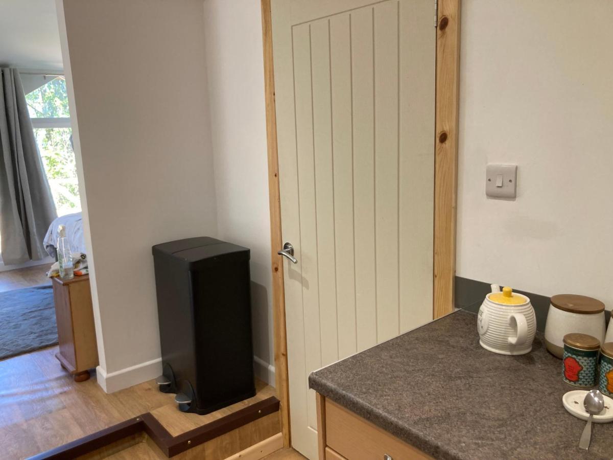 Honey Bee Cabin Llandysul Εξωτερικό φωτογραφία