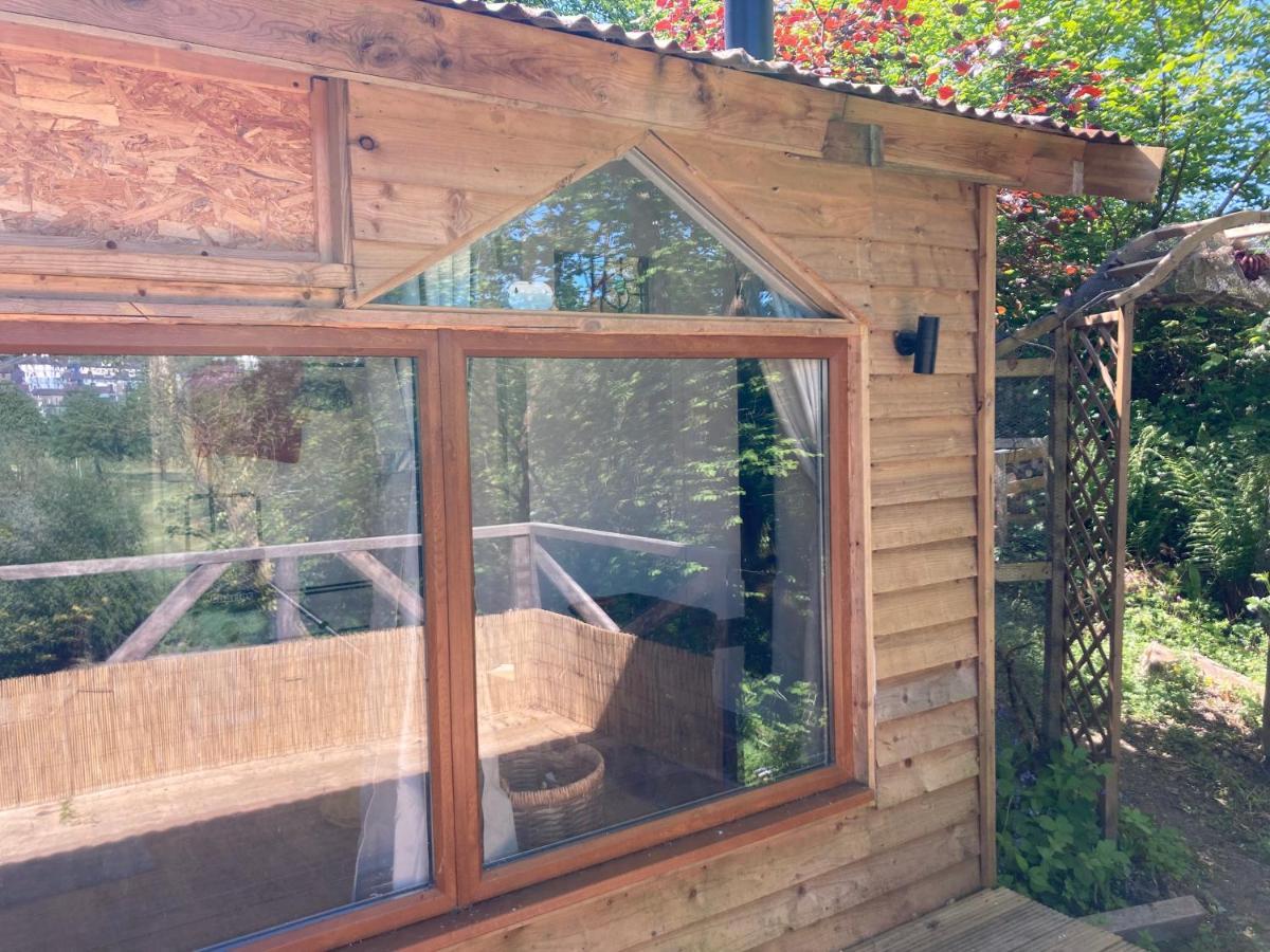 Honey Bee Cabin Llandysul Εξωτερικό φωτογραφία