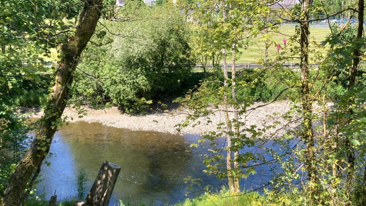 Honey Bee Cabin Llandysul Εξωτερικό φωτογραφία
