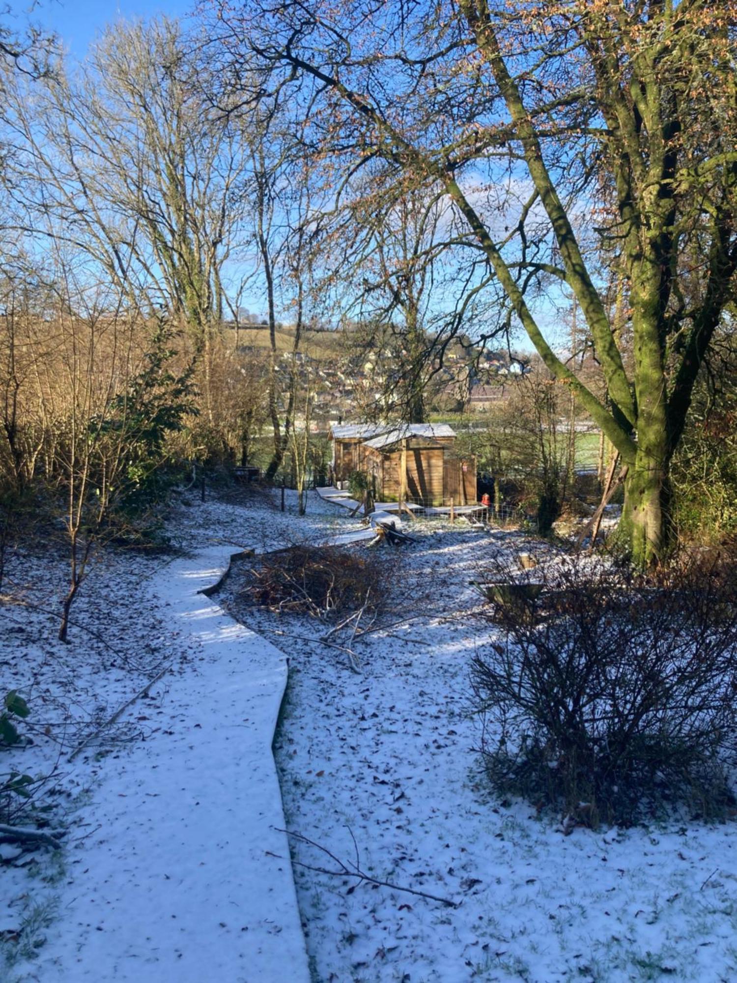 Honey Bee Cabin Llandysul Εξωτερικό φωτογραφία